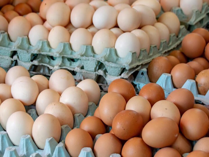 وزارة الزراعة: استقرار أسعار بيض المائدة في الأسواق المحلية بعد الحملات الرقابية