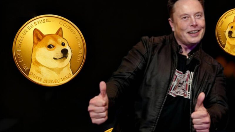 إيلون ماسك يرفع قيمة عملة Floki بنسبة 20% بعد منشور جديد