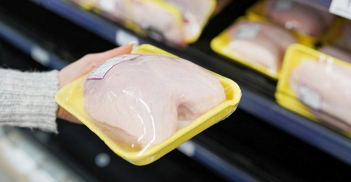 العراق في المرتبة التاسعة عالميًا بين أكثر الدول استيرادًا للدجاج البرازيلي عام 2024