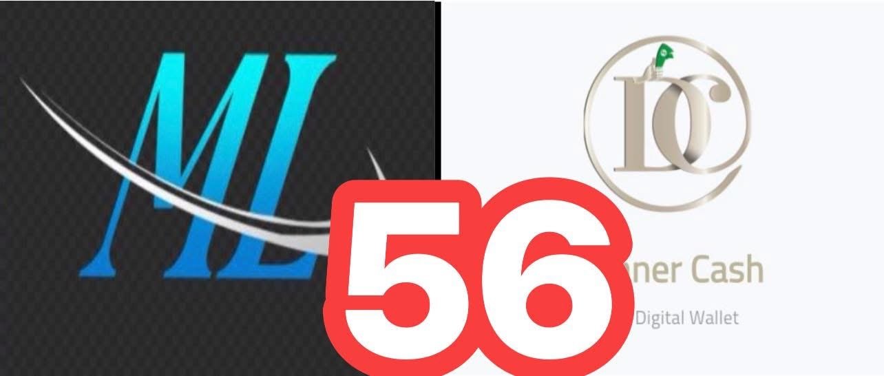 هروب مالك تطبيق “دنانير” بعد الاستيلاء على أكثر من 5 ملايين دولار من المستخدمين