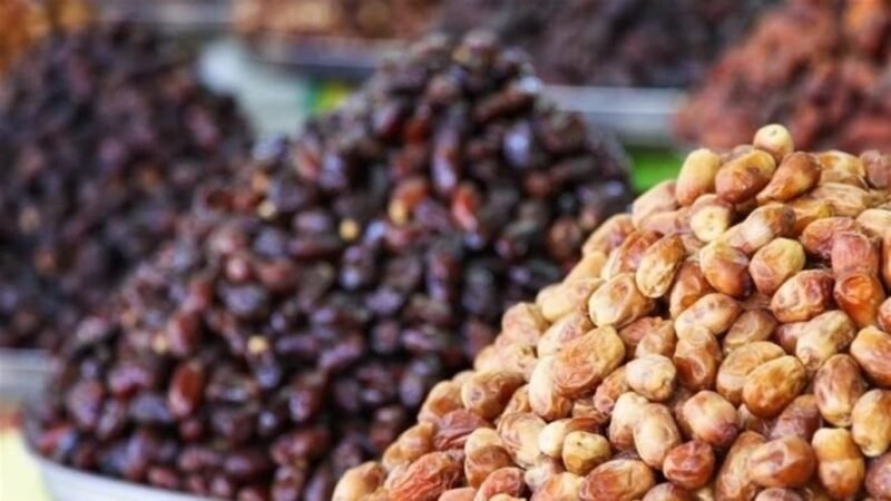 العراق يخطط لتوسيع صادرات التمور وتحويل جزء منها إلى منتجات مصنّعة