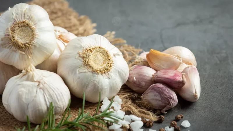 العراق في المرتبة التاسعة عربيًا بإنتاج الثوم