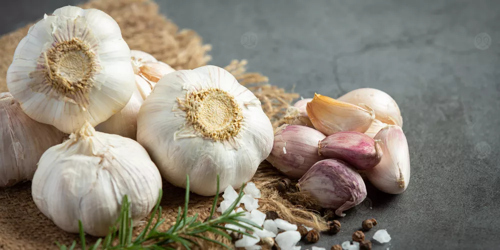 العراق في المرتبة التاسعة عربيًا بإنتاج الثوم