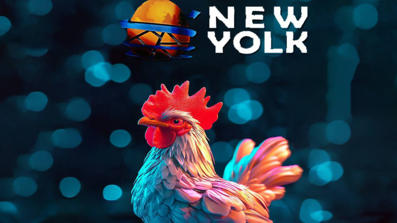 شركة نيو يولك تفتح باب الاستثمار للمواطنين في مشاريعها الإنتاجية.